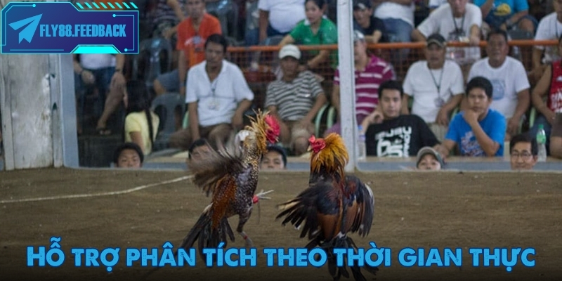 Đá gà Fly88 Hỗ trợ phân tích quá trình tham gia đặt cược đá gà Fly88