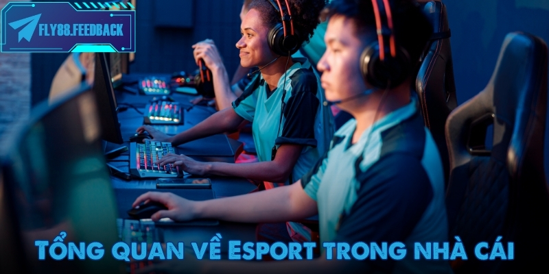 Giải đấu Esport quốc tế thu hút hàng nghìn người xem trực tiếp