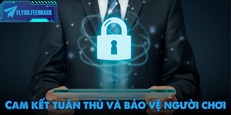 Thông tin giới thiệu FLY88 cực chuẩn