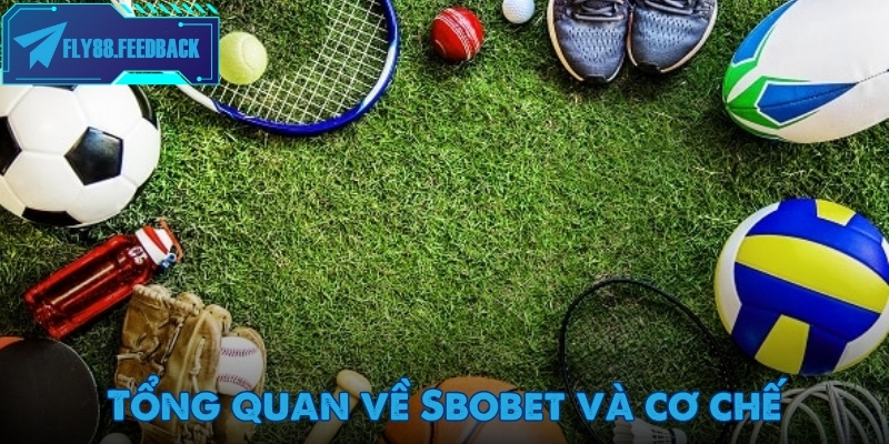 Giao diện bảng kèo tại Sbobet rõ ràng, hiển thị tỷ lệ theo thời gian thực