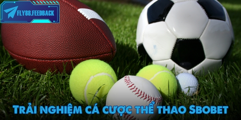 Hệ thống hỗ trợ 24/7 trên Sbobet đảm bảo trải nghiệm liền mạch và an toàn