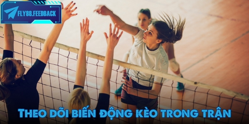 Thể thao Fly88 Theo dõi biến động kèo khi trải nghiệm cá cược thể thao Fly88
